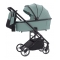 
	  	<!-- AOTooltips -->
								Parrot Green				  	<!-- AOTooltips end -->
			