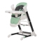 
	  	<!-- AOTooltips -->
								Tropical Green				  	<!-- AOTooltips end -->
			