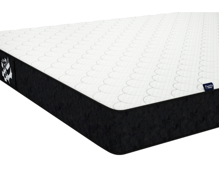 Bishop Chess Collection Family Sleep