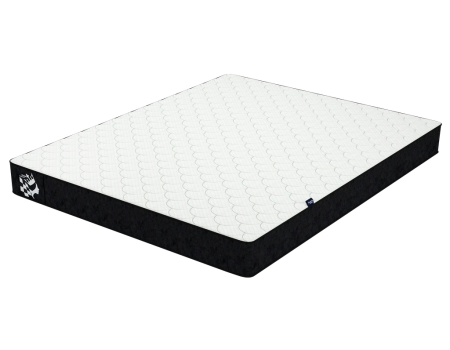 Bishop Chess Collection Family Sleep