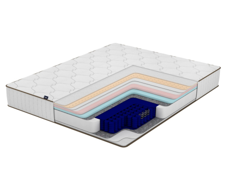 Prime Hybrid Quantum Family Sleep
