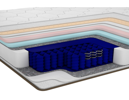 Prime Hybrid Quantum Family Sleep
