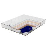 Pulse Hybrid Quantum Family Sleep