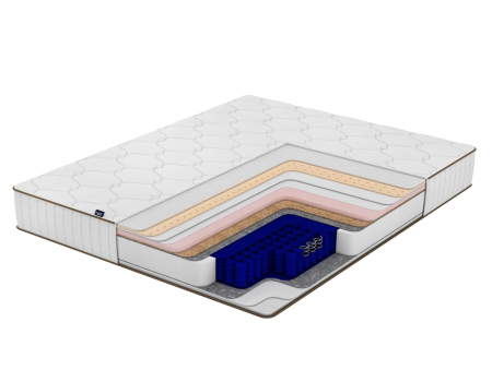 Pulse Hybrid Quantum Family Sleep