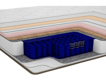 Pulse Hybrid Quantum Family Sleep