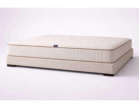 Prime Hybrid Quantum Family Sleep