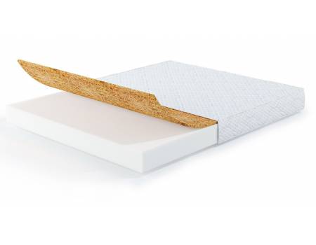 Fresh Coconut Highfoam