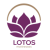 Lotos
