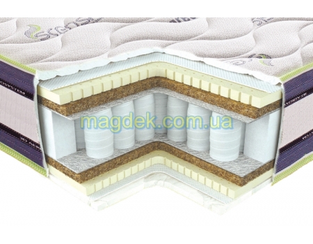 Paola Luchini Sistema 3D