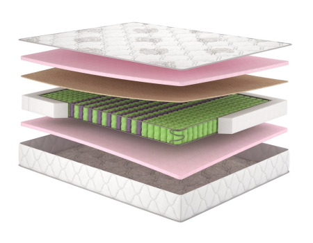 Моника Матролюкс