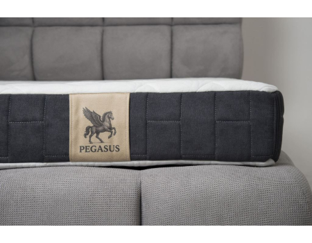 Pegasus Atlas