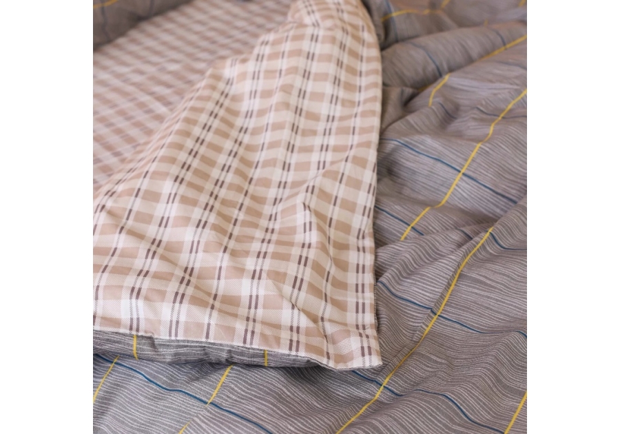 Комплект постільної білизни Isleep Сатин Twill 18