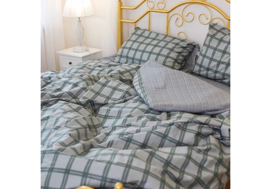 Комплект постільної білизни Isleep Сатин Twill 45