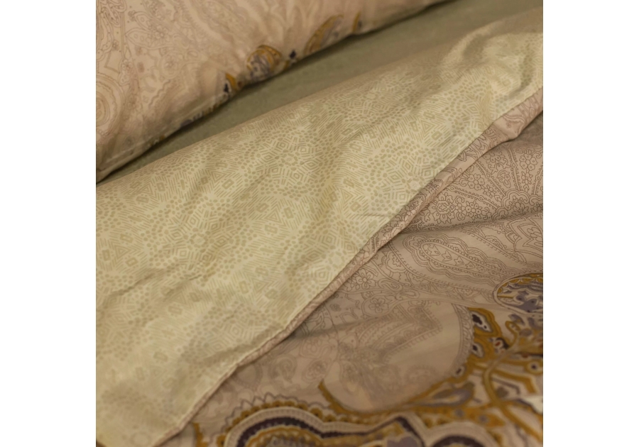 Комплект постільної білизни Isleep Сатин Twill 46
