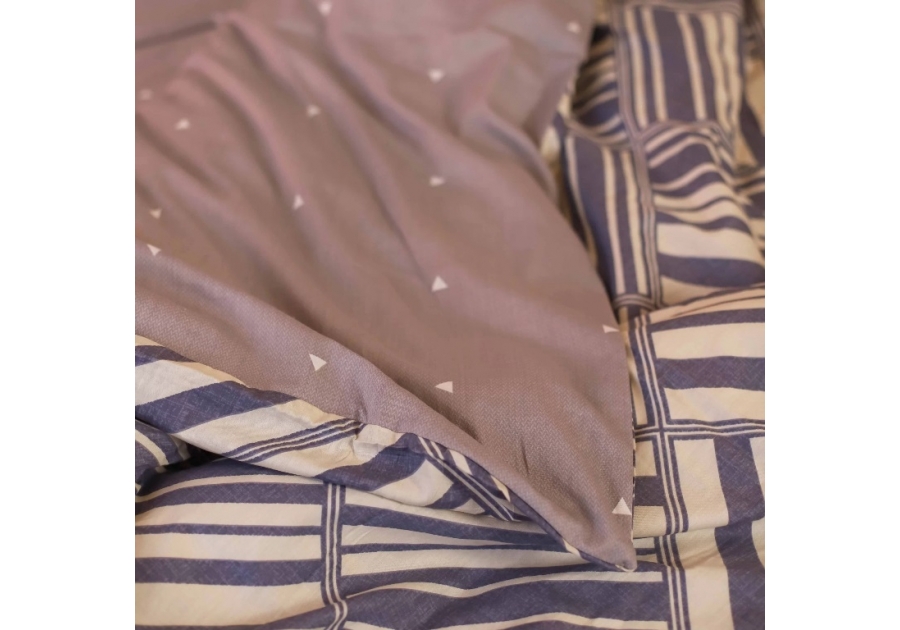 Комплект постільної білизни Isleep Сатин Twill 48
