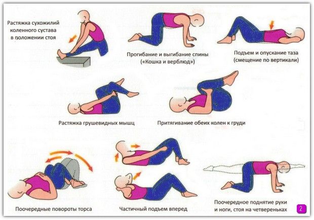 упражнения по укреплению спины