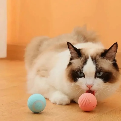 кульки для кота